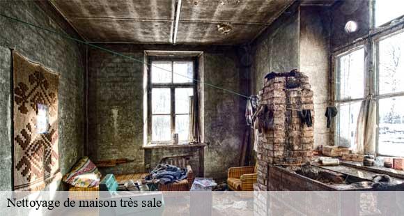 Nettoyage de maison très sale 38 Isère  D&N 38 debarras et nettoyage