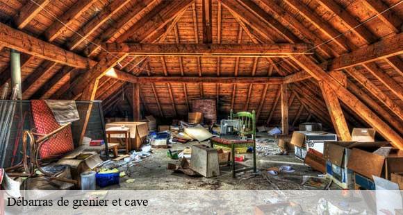 Débarras de grenier et cave vatilieu-38470 D&N 38 debarras et nettoyage