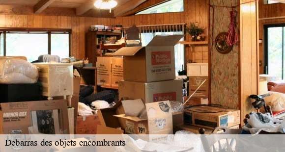 Debarras des objets encombrants mottier-38260 D&N 38 debarras et nettoyage