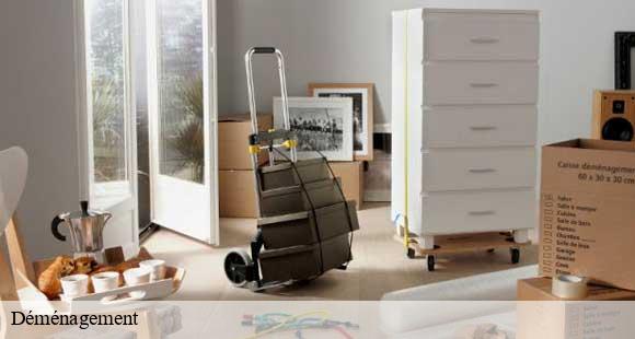 Déménagement la-buisse-38500 D&N 38 debarras et nettoyage