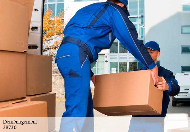 Déménagement chassignieu-38730 D&N 38 debarras et nettoyage