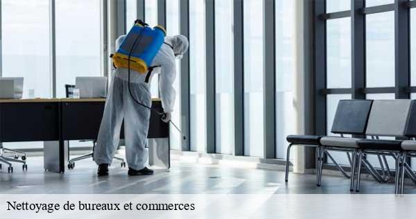 Nettoyage de bureaux et commerces saint-michel-en-beaumont-38350 D&N 38 debarras et nettoyage