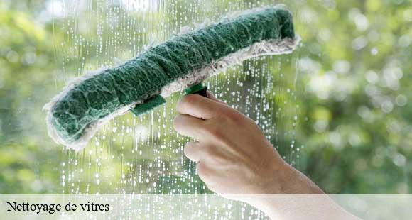 Nettoyage de vitres beaurepaire-38270 D&N 38 debarras et nettoyage